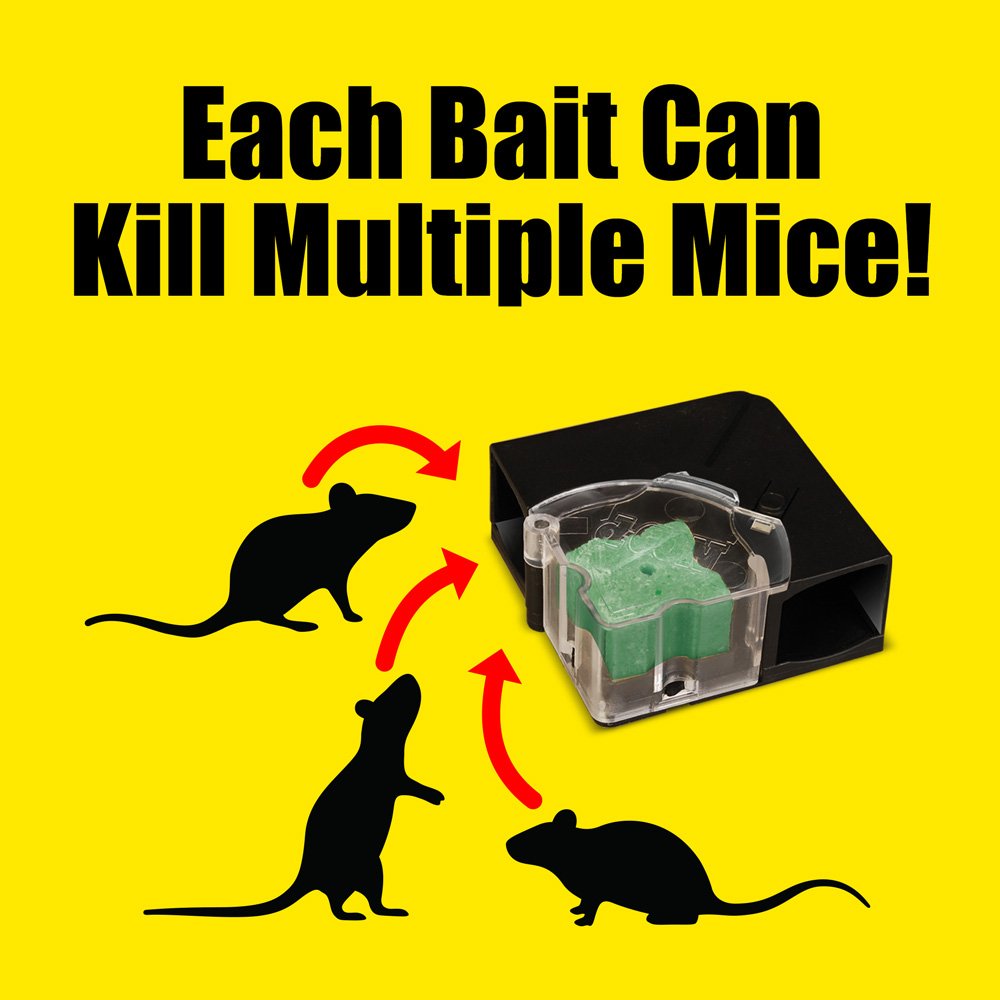 d-CON Disposable Corner Fit Mouse Poison Bait Station, 3 Bait Stations, Packaging May Vary