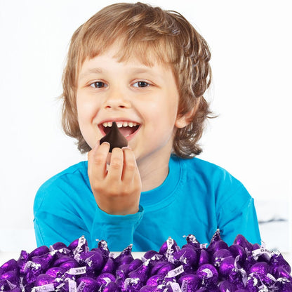 Bulk Dark Chocolate Candy for Special Melt-in-Your-Mouth Indulgence, Individually Wrapped in Purple Foils Mildly Sweet Dark Chocolate Treat Bulk Pack Sharing Size for Party Favors, 1.5lb