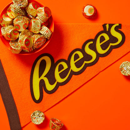REESE'S Miniatures Milk Chocolate Peanut Butter Cups, Candy Share Pack, 10.5 oz