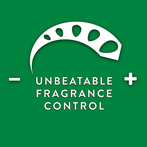 Air Wick Scented Oil Warmer Plugin Air Freshener